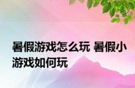 暑假游戏怎么玩 暑假小游戏如何玩