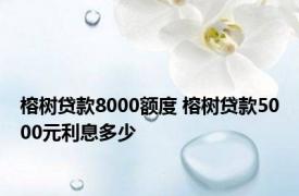 榕树贷款8000额度 榕树贷款5000元利息多少