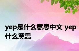 yep是什么意思中文 yep什么意思