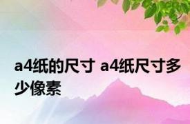 a4纸的尺寸 a4纸尺寸多少像素