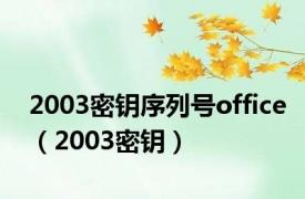 2003密钥序列号office（2003密钥）