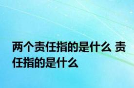 两个责任指的是什么 责任指的是什么