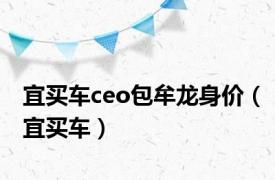 宜买车ceo包牟龙身价（宜买车）