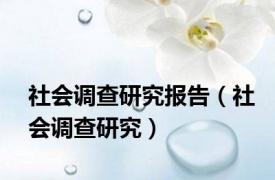 社会调查研究报告（社会调查研究）