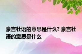 豪言壮语的意思是什么? 豪言壮语的意思是什么