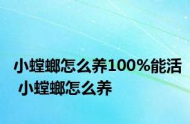 小螳螂怎么养100%能活 小螳螂怎么养