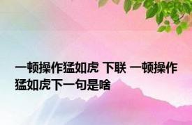 一顿操作猛如虎 下联 一顿操作猛如虎下一句是啥