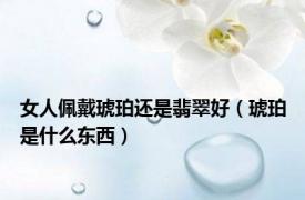 女人佩戴琥珀还是翡翠好（琥珀是什么东西）