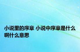 小说里的序章 小说中序章是什么啊什么意思