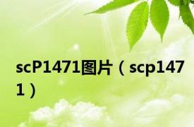 scP1471图片（scp1471）