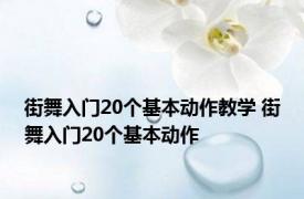 街舞入门20个基本动作教学 街舞入门20个基本动作 