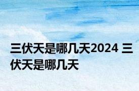 三伏天是哪几天2024 三伏天是哪几天