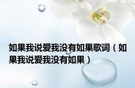 如果我说爱我没有如果歌词（如果我说爱我没有如果）