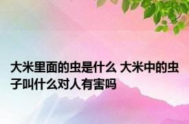 大米里面的虫是什么 大米中的虫子叫什么对人有害吗