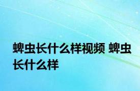 蜱虫长什么样视频 蜱虫长什么样