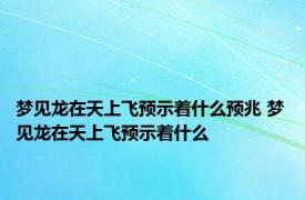 梦见龙在天上飞预示着什么预兆 梦见龙在天上飞预示着什么