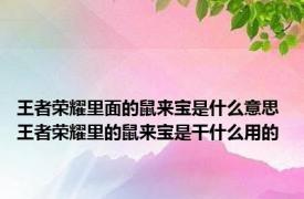 王者荣耀里面的鼠来宝是什么意思 王者荣耀里的鼠来宝是干什么用的