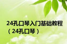 24孔口琴入门基础教程（24孔口琴）