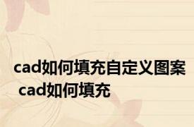 cad如何填充自定义图案 cad如何填充