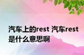 汽车上的rest 汽车rest是什么意思啊