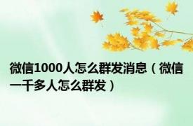 微信1000人怎么群发消息（微信一千多人怎么群发）