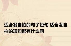 适合发自拍的句子短句 适合发自拍的短句都有什么啊