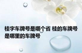 桂字车牌号是哪个省 桂的车牌号是哪里的车牌号