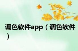 调色软件app（调色软件）