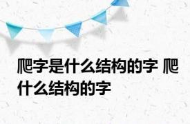 爬字是什么结构的字 爬什么结构的字