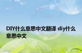 DIY什么意思中文翻译 diy什么意思中文 