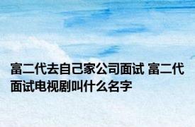 富二代去自己家公司面试 富二代面试电视剧叫什么名字