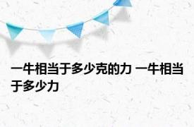 一牛相当于多少克的力 一牛相当于多少力