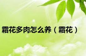 霜花多肉怎么养（霜花）