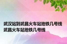 武汉站到武昌火车站地铁几号线 武昌火车站地铁几号线