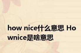 how nice什么意思 Hownice是啥意思