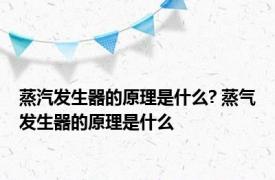 蒸汽发生器的原理是什么? 蒸气发生器的原理是什么