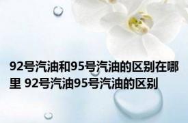 92号汽油和95号汽油的区别在哪里 92号汽油95号汽油的区别