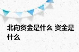 北向资金是什么 资金是什么