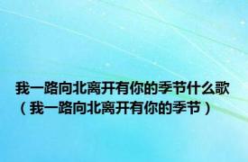 我一路向北离开有你的季节什么歌（我一路向北离开有你的季节）