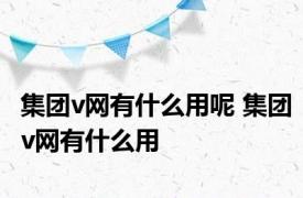 集团v网有什么用呢 集团v网有什么用