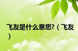 飞友是什么意思?（飞友）