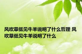 风吹草低见牛羊说明了什么哲理 风吹草低见牛羊说明了什么