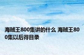 海贼王800集讲的什么 海贼王800集以后得目录