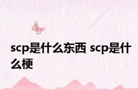 scp是什么东西 scp是什么梗