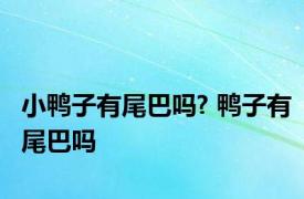 小鸭子有尾巴吗? 鸭子有尾巴吗