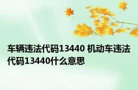 车辆违法代码13440 机动车违法代码13440什么意思