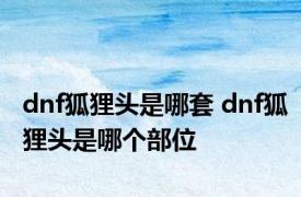 dnf狐狸头是哪套 dnf狐狸头是哪个部位