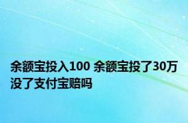 余额宝投入100 余额宝投了30万没了支付宝赔吗