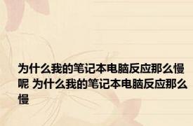 为什么我的笔记本电脑反应那么慢呢 为什么我的笔记本电脑反应那么慢