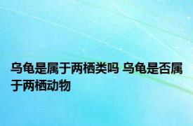 乌龟是属于两栖类吗 乌龟是否属于两栖动物